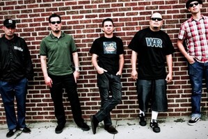 The Aggrolites