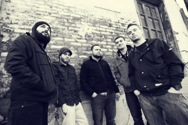 If These Trees Could Talk