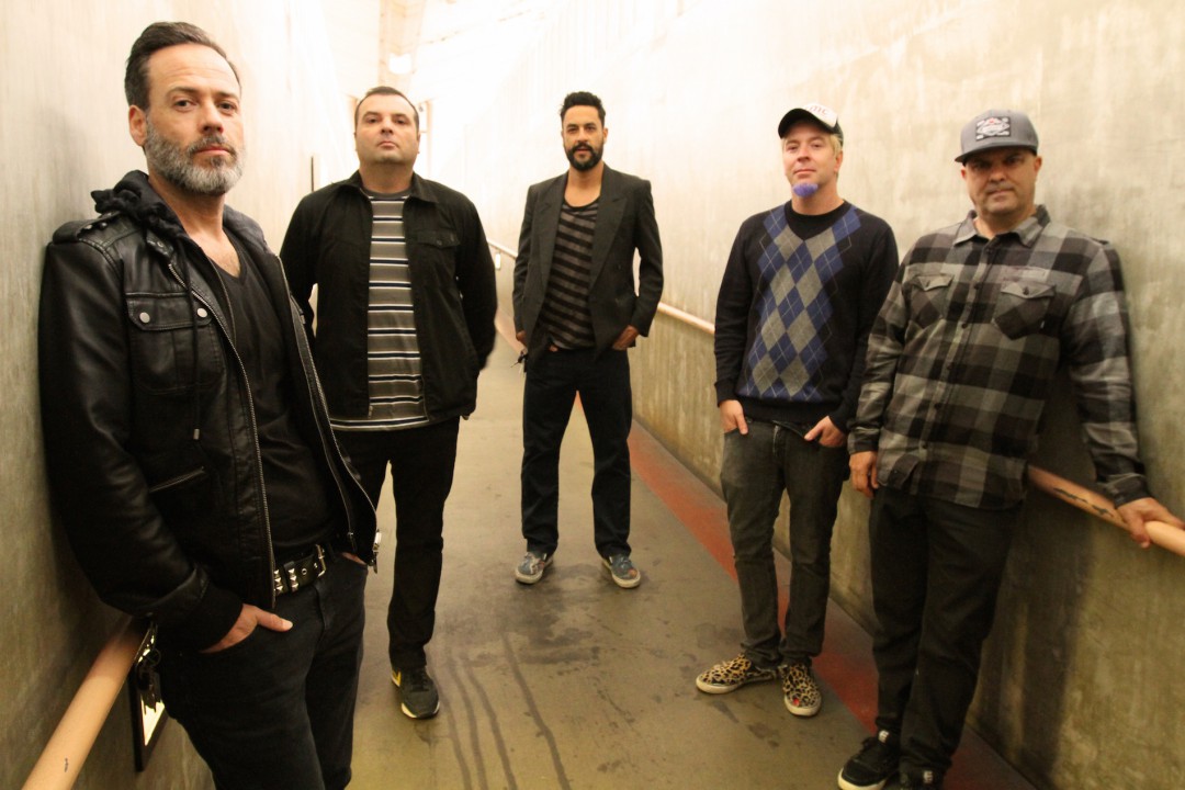 Strung Out: "The Animal and the Machine"
