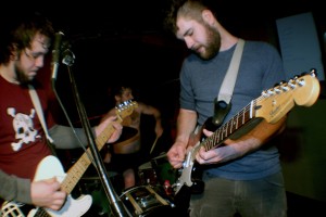 Wolves and the Radio