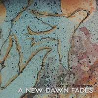 A New Dawn Fades - I See the Nightbirds