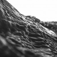 Acceptance - Wild [EP] (Cover Artwork)