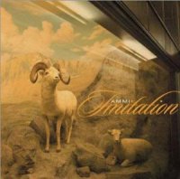 Ammi - Imitation (Cover Artwork)