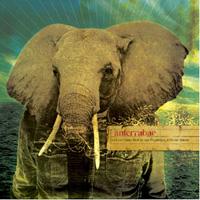 Anterrabae - And Our Heart Beat in Our Fingertips, Without Reason