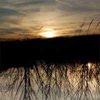 Anthony Green - Avalon