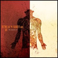 Between the Buried and Me - The Anatomy Of