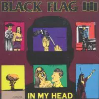 Black flag best sale cover