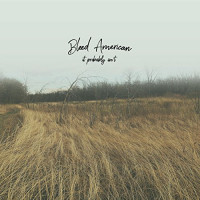 Bleed American - It Probably Isn't