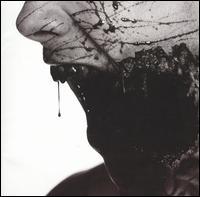Bleeding Through - The Truth