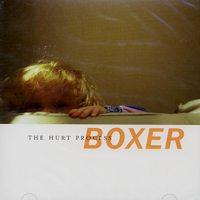 Boxer - Hurt Process