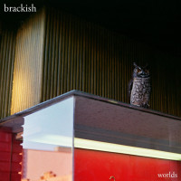 Brackish - Worlds
