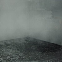 Byrds of Paradise - Teenage Symphonies [12-inch] (Cover Artwork)