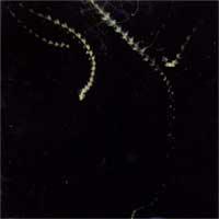 Call It Arson - Mothwash: The Old Flames [7 inch]