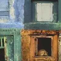 Carpathian - Wanderlust [7-inch]