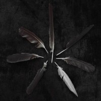 Caspian - Dust and Disquiet