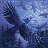 Casting Curses - Cold All Over Again [7-inch] (Cover Artwork)