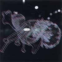 Cease Upon the Capitol - untitled (2006)