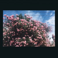 Ceres - Drag It Down On You (Cover Artwork)