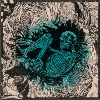 Ceschi/Pat The Bunny - Split (Cover Artwork)