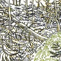 Chad VanGaalen - Diaper Island (Cover Artwork)