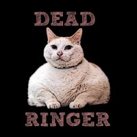 Dead Ringer - Demo (Cover Artwork)