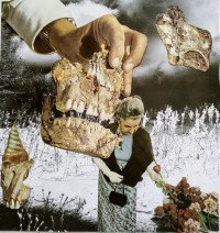 Decent Criminal - Bloom