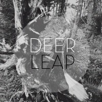 Deer Leap - Here. Home.