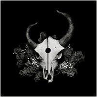 Demon Hunter - Summer of Darkness