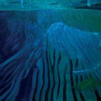 Drain the Sky - Haunted by Rivers [12 inch] (Cover Artwork)