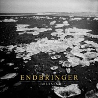 Endbringer - Bruises [7-inch]