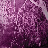 Fa Fa Fa - What Made Those Holes and Rents (Cover Artwork)