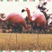Fake Problems / You Blew It! - Florida Doesn't Suck [split]
