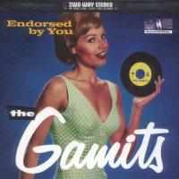 The Gamits - Endorsed By You (Cover Artwork)