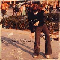 Great Glass Elevator - All in the Golden Afternoon (Cover Artwork)