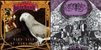 Hatebeak / Caninus - Bird Seeds of Vengeance / Wolfpig [7 inch]