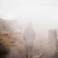 Have/Hold - King Salt