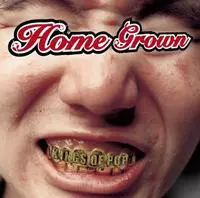 Home Grown - Kings Of Pop | Punknews.org