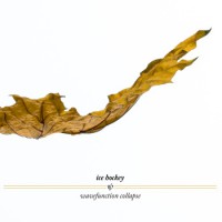 Ice Hockey - Wavefunction Collapse (Cover Artwork)