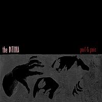 The Intima - Peril & Panic
