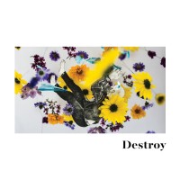 The Bella Vista Social Club - Destroy