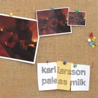 Karl Larsson - Pale As Milk
