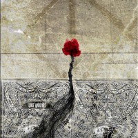 Like Wolves - Like Wolves [12-inch]