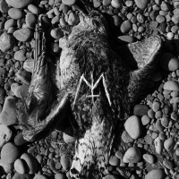 Mad Trapper - Dead Living