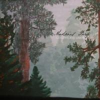 Makeout Party - Lengths and Limits (Cover Artwork)