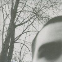 Marshes - The Marshes