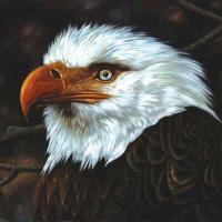 Mogwai - The Hawk Is Howling 