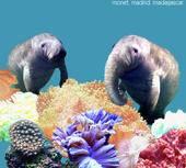 Monet.Madrid.Madagascar. - If Manatees Had Trunks (Cover Artwork)