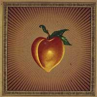 Ninja Gun - Restless Rubes