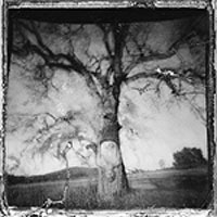 No Motiv - Daylight Breaking (Cover Artwork)