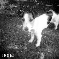 NONA / Crow Bait - Split [7-inch]
